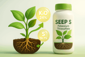 بطری کود مایع SEEP S (تیوسولفات پتاسیم) حیات سبز سبحان؛ حاوی K₂O ۲۴٪ و گوگرد ۱۶٫۷٪، مناسب محلول‌پاشی در باغ، مزرعه و گلخانه.