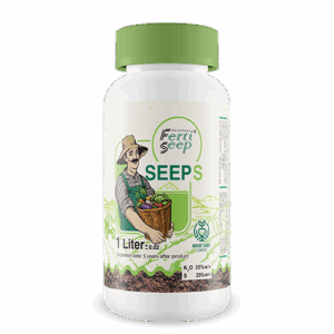 سیپس اس  |  SEEP S  |  فرتی سیپ